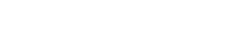 FORCELION Logo
